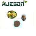 /msite/products/detail/productid/62878324/id/1511907.html